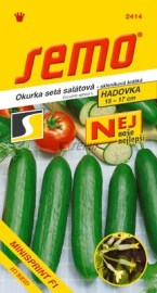 Okurka salátová skleníková Minisprint F1